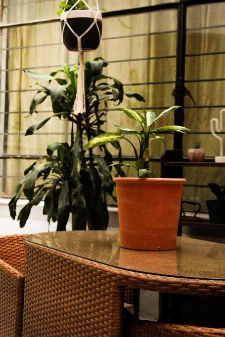 New Mex Inspired Bo-Ho Chic Apartment With Private Patio And Roof Terrace เม็กซิโกซิตี้ ภายนอก รูปภาพ